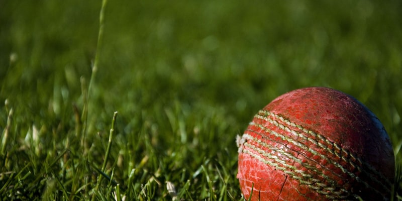 意甲联赛国际米兰球员庆祝进球的瞬间